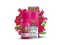 Kurwa Collection SALT Fizzy Cherry 20mg 10ml
