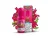 Kurwa Collection SALT Fizzy Cherry 20mg 10ml