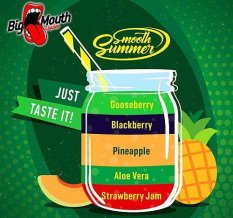 Big Mouth-Smooth Summer Příchuť 10ml Angrešt/Ostružina/Ananas/Aloe vera/Jahodový džem