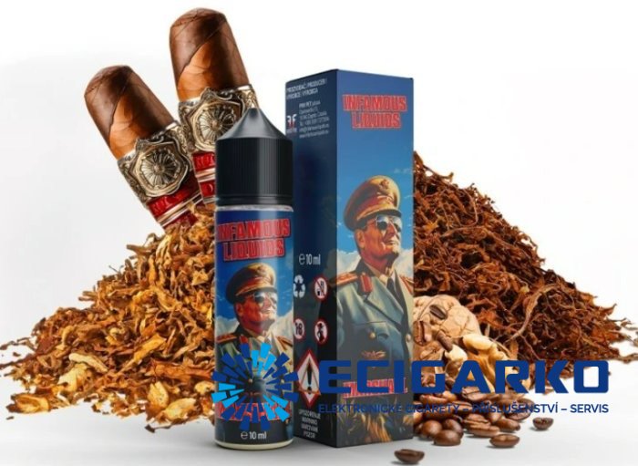 Infamous Special Shake and Vape 10/60ml Marshall